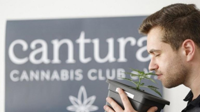 Allemagne : près de 300 clubs de cannabis approuvés un an après la légalisation