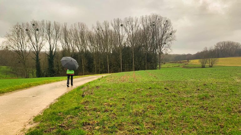 Météo en Belgique : averses et vent ce lundi matin, avant un temps sec l'après-midi