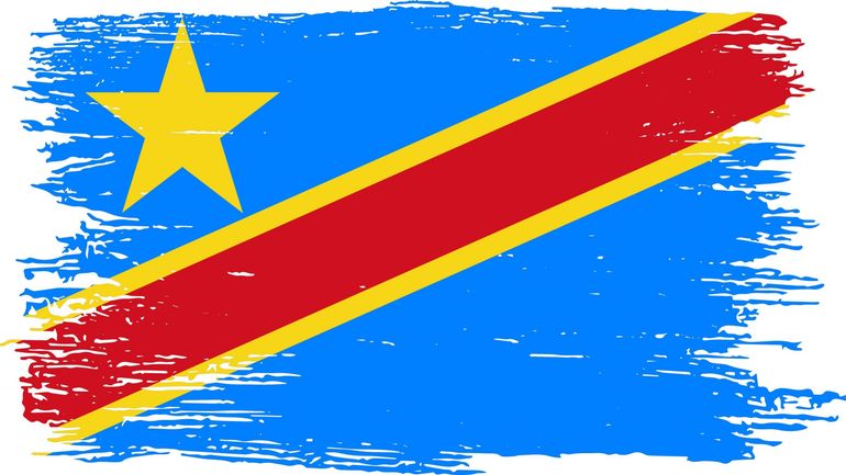 Elections en RDC : l'Europe confirme l'annulation de sa mission d'observation électorale