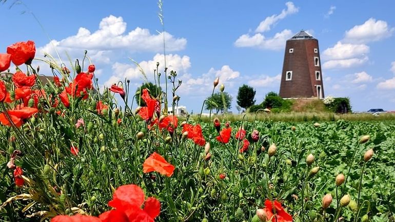 Météo en Belgique : retour d'un temps plus calme et ensoleillé ce mardi, après l'instabilité d'hier