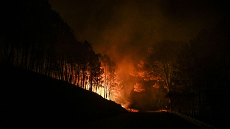 Incendies au Portugal : plus de 1500 pompiers toujours mobilisés contre un feu dans un parc naturel