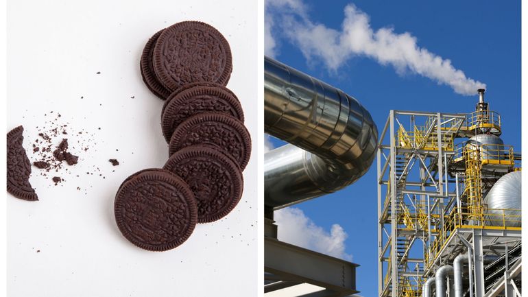 Pays-Bas : la couleur noire des biscuits Oreo, due à de l'ammoniac nuisible pour l'environnement, alertent les écologistes