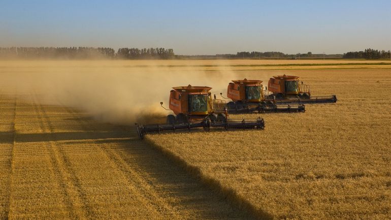 Le prix du blé à son plus haut niveau depuis 2008