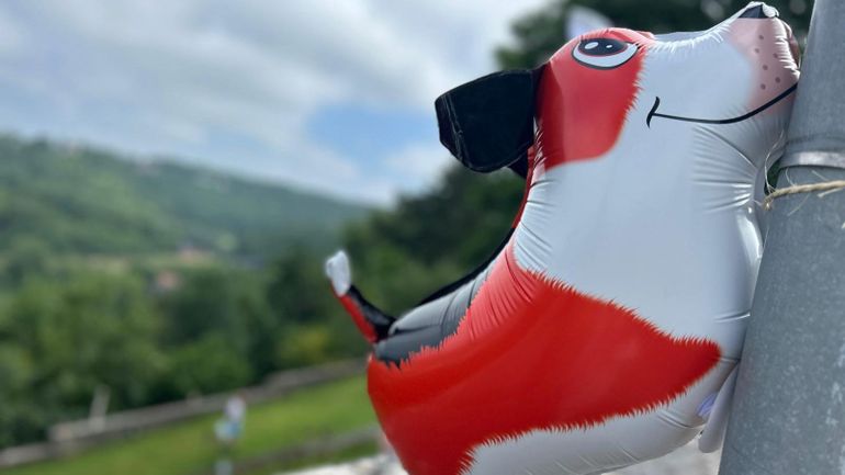 Thuin : une balade 