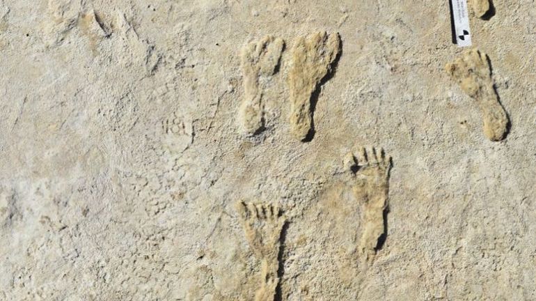Des empreintes de pas vieilles de 23.000 ans découvertes au Nouveau Mexique : 