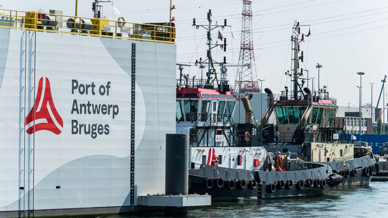Port d'Anvers : 120 kilos de cocaïne ont été découverts dans des lots de bananes
