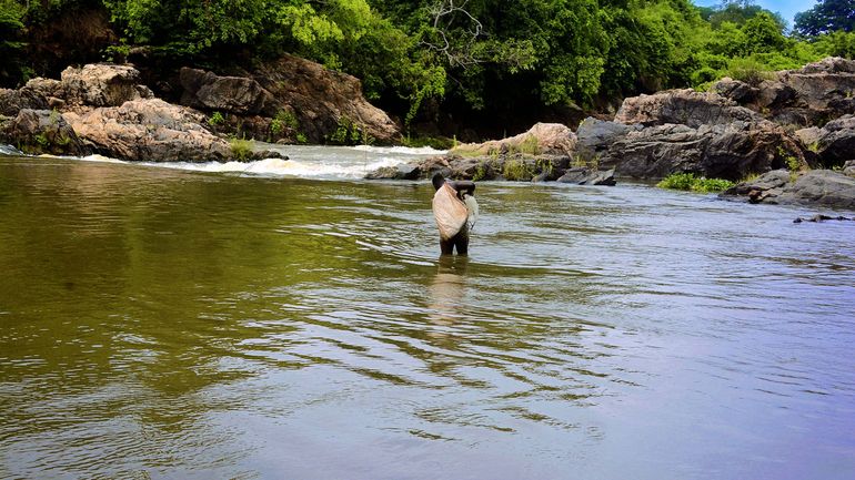Côte d'Ivoire : disparition de onze personnes après qu'un hippopotame a fait chavirer une pirogue sur le fleuve Sassandra