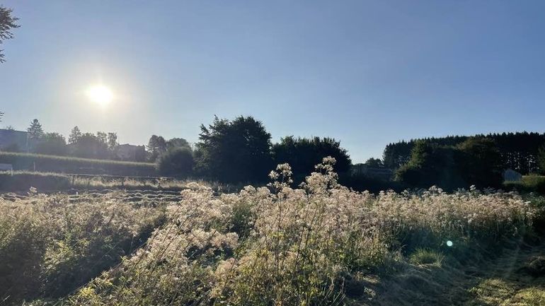 Météo en Belgique : une fin de week-end sous le soleil et la chaleur, jusqu'à 28°C cet après-midi