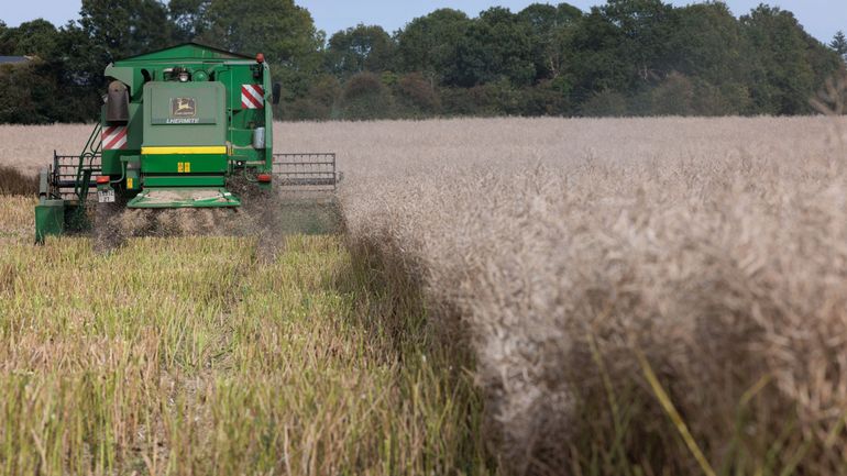 Encore un été compliqué pour les agriculteurs belges : 