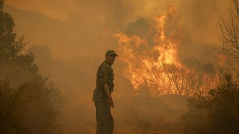 Maroc : intensification des efforts pour maîtriser des feux de forêt