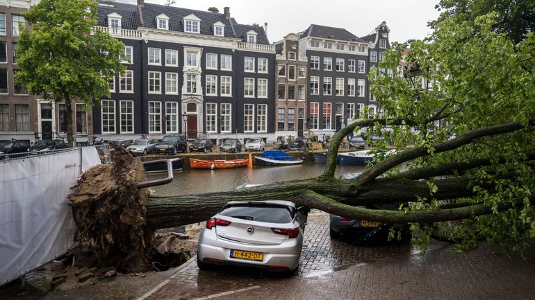 Les Pays-Bas en proie à leur plus forte tempête estivale : des centaines de vols annulés à Schiphol, trafic ferroviaire à l'arrêt dans le nord