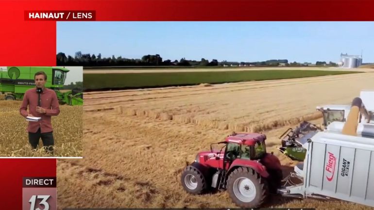 Agriculture : cet été, on moissonne du blé en quantité et en qualité, malgré la hausse des coûts de production