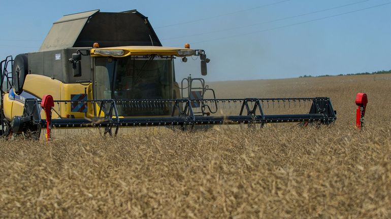 Guerre en Ukraine : la Russie arrête temporairement d'exporter ses graines de colza et de tournesol