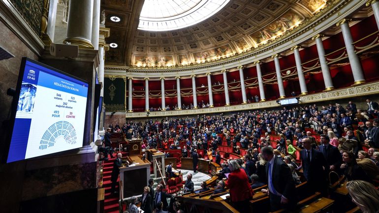 L'Assemblée française vote en première lecture l'inscription de l'IVG dans la Constitution, place maintenant au Sénat