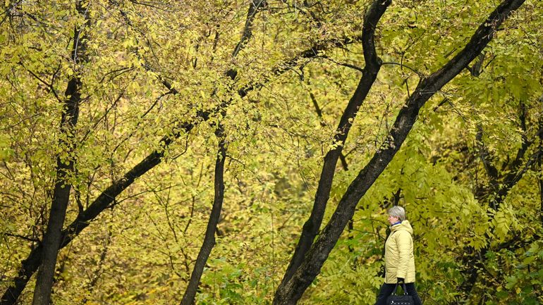 Climat : dans l'hémisphère nord, octobre aurait été le plus chaud depuis que les relevés existent