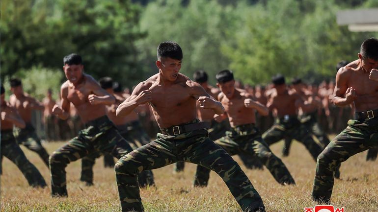 Guerre en Ukraine : Pyongyang estime qu'envoyer ses troupes en Russie serait 