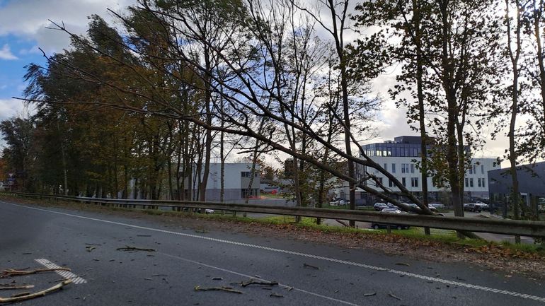 Intempéries : près de 50.000 sinistres causés par la tempête Ciarán en Belgique