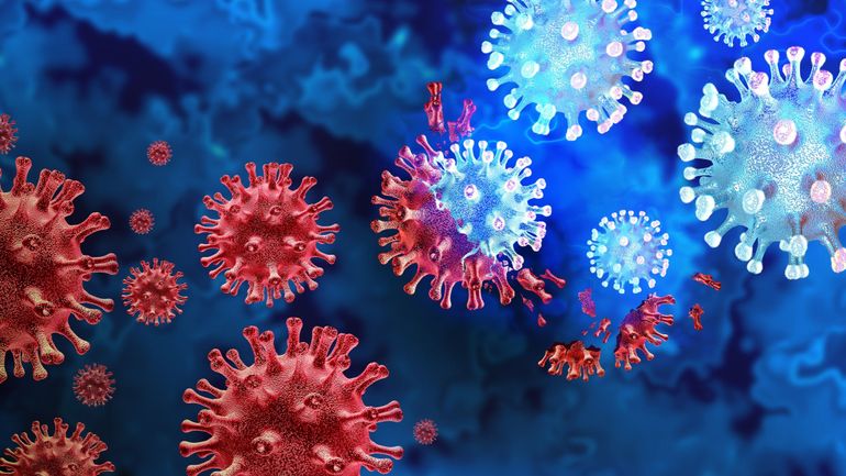 Coronavirus en Belgique : le sous-variant BA.2 ne représente que 5% des contaminations par le variant Omicron