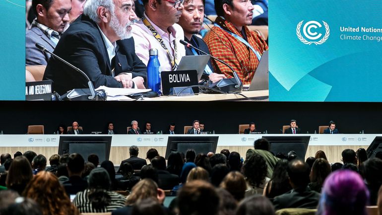 COP29 : la conférence adopte des règles pour encadrer et mettre en oeuvre les marchés du carbone