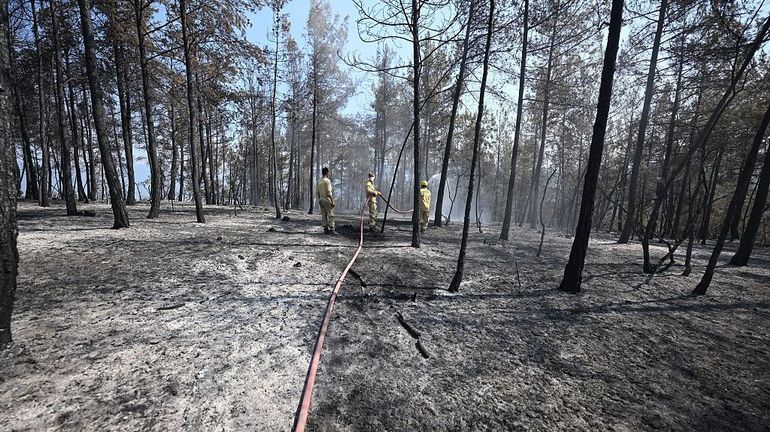 Turquie : quatre incendies majeurs toujours en cours