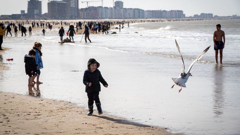 Ostende : une partie de la plage évacuée après la découverte d'une grenade