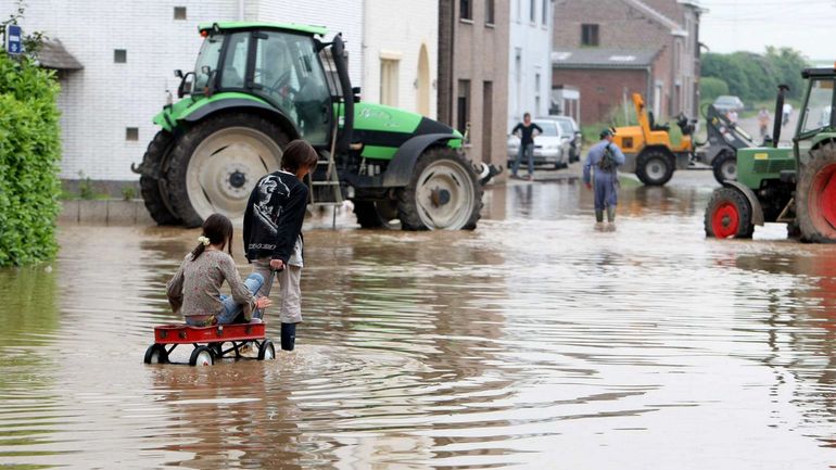 Inondations en Belgique : quels impacts pour l'agriculture ?