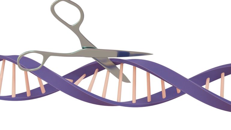 Soigner avec des ciseaux génétiques, une révolution en Europe