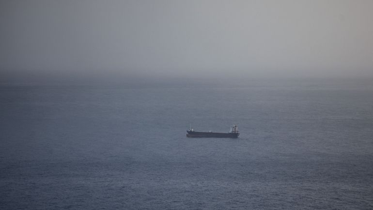 Attaques en mer Rouge : l'armée américaine annonce avoir abattu un drone et deux missiles houthis en mer Rouge