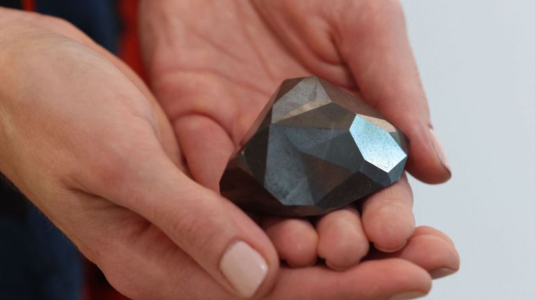 Le plus gros diamant noir vendu aux enchères pour 3,7 millions d'euros