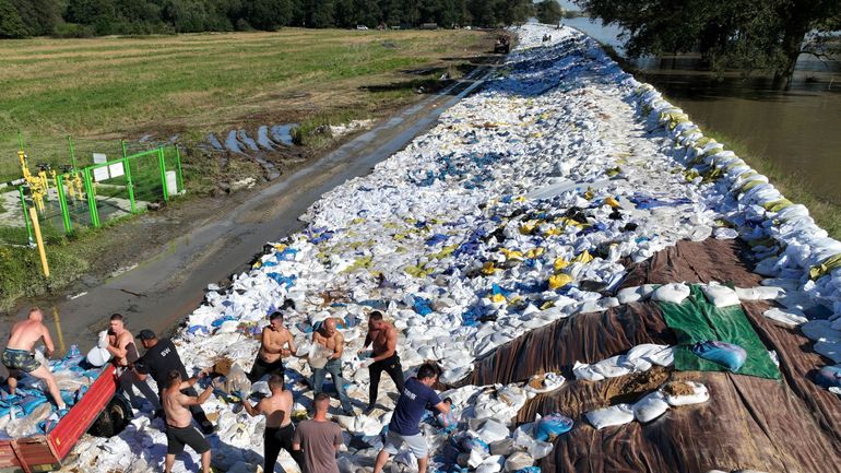 Intempéries en Allemagne : nouvelle alerte maximale aux inondations, dans le Brandebourg, près de la frontière polonaise