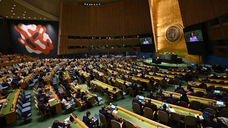 Guerre en Ukraine : l'Assemblée générale de l'ONU exige le retrait 