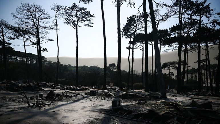 Incendies en Gironde : les deux feux n'ont pas progressé dans la nuit