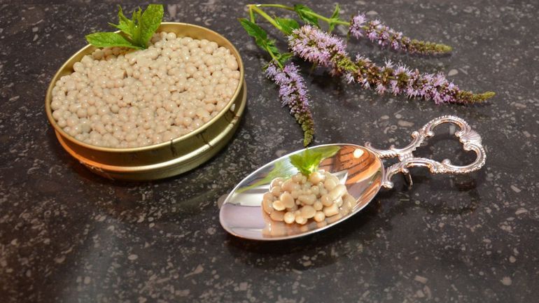 Du caviar de criquets: on a (osé) goûter