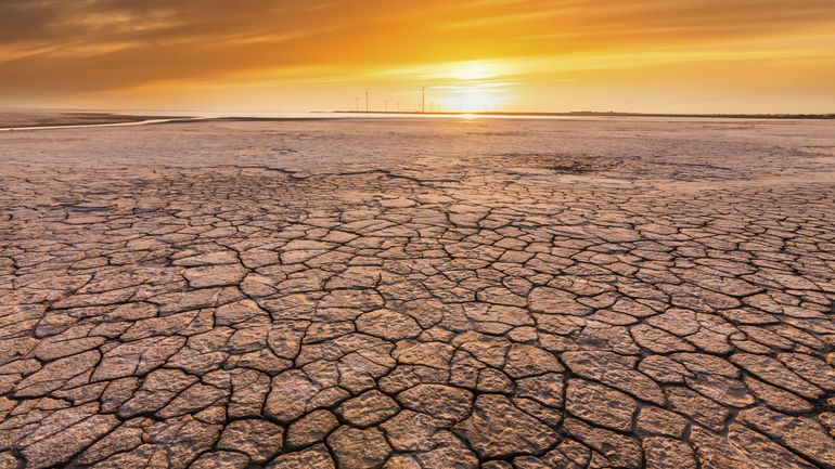 Crise climatique : 2023 probablement encore plus chaude que 2022, déjà une année record en température