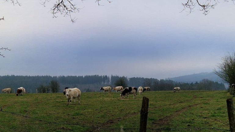 Météo en Belgique : un week-end gris, bien gris