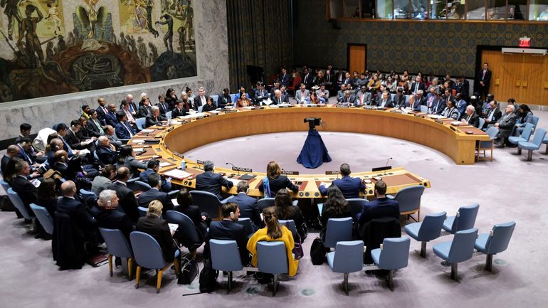 Le Conseil de sécurité de l'ONU se réunit après le crash d'un avion militaire russe