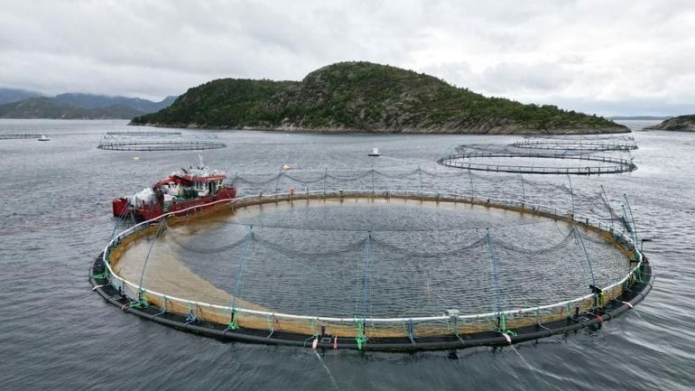 Vue aérienne d'une ferme d'élevage de saumon dans le fjord de Trondheim.