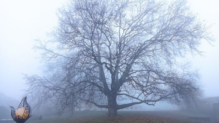 Météo en Belgique : l'air froid débarque ce vendredi