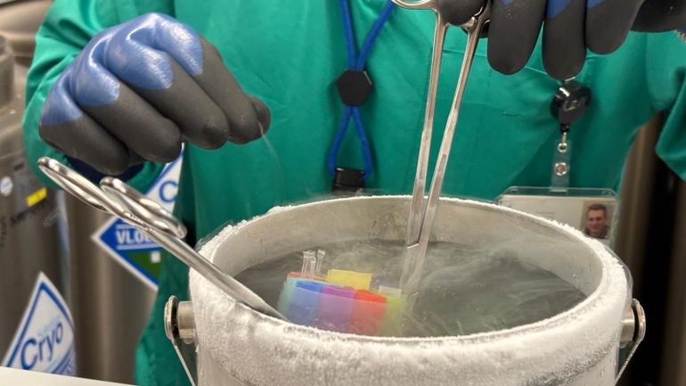 De plus en plus de femmes congèlent leurs ovocytes : pour se laisser le choix de choisir plus tard