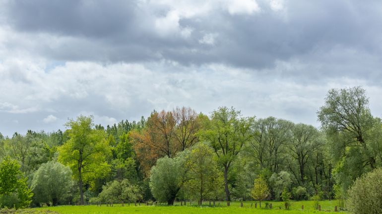 Intempéries : le numéro d'urgence 1722 activé pour risque de tempête ou d'inondation