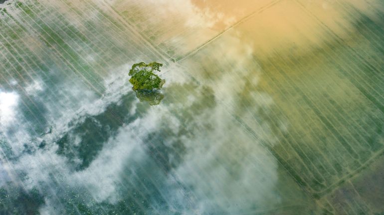 20 ans séparent les modèles de projections climatiques de la réalité : comment expliquer un tel décalage ?