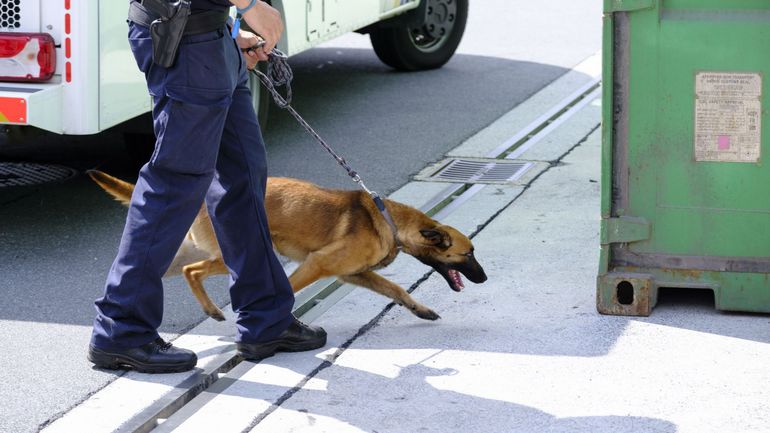 Près de 90 kilos de cocaïne à destination d'Anvers interceptés par la douane néerlandaise