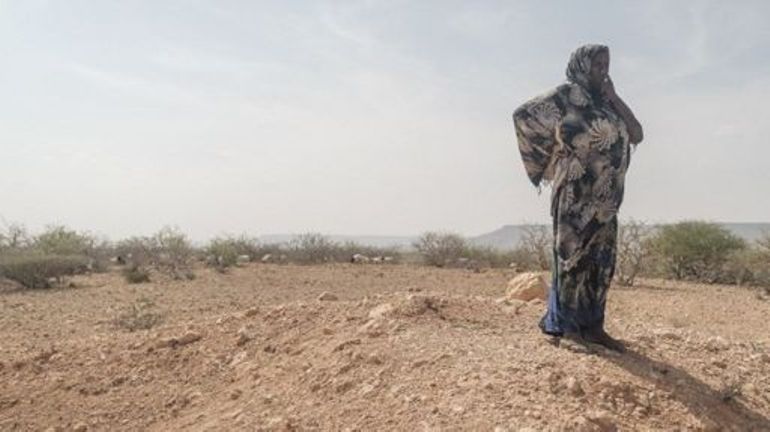 Corne de l'Afrique : plus de deux milliards d'euros récoltés par l'ONU pour éviter une terrible famine