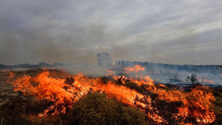 De gigantesques incendies consument le nord-est de l'Argentine