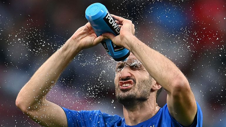 L'Italie privée de Coupe du Monde : 