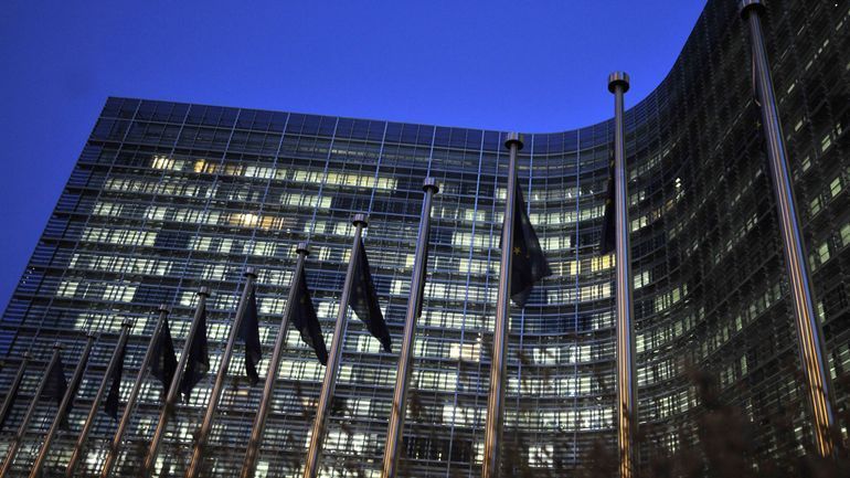 Faut-il confisquer les avoirs russes gelés en Europe ? Les États européens, divisés