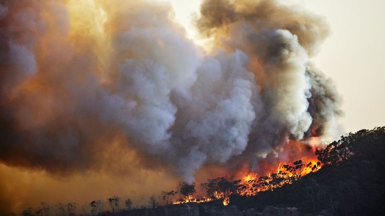 Revue de presse : le rapport du GIEC enflamme les Unes