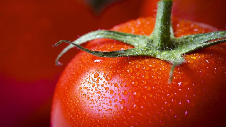 A chaque variété de tomates sa recette !