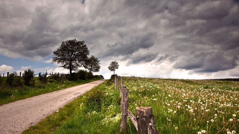 Météo en Belgique : nombreux nuages ce lundi, parfois porteurs d'averses localement orageuses