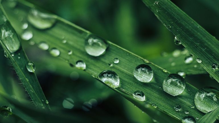 Sécheresse agricole : des précipitations encore trop faibles pour inverser la tendance ?
